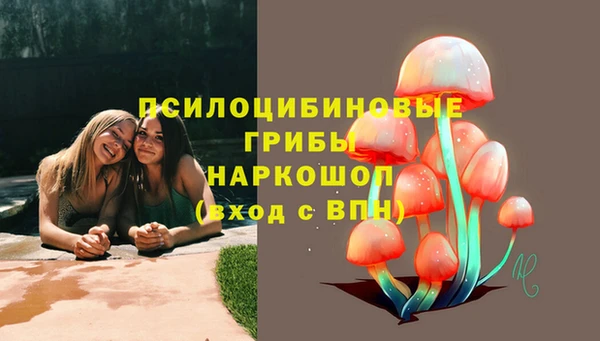 мяу мяу мука Аркадак